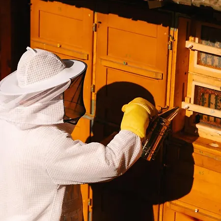 Eko Homestead Luka - Escape Room, Archery, Bbq, Rafting And -
