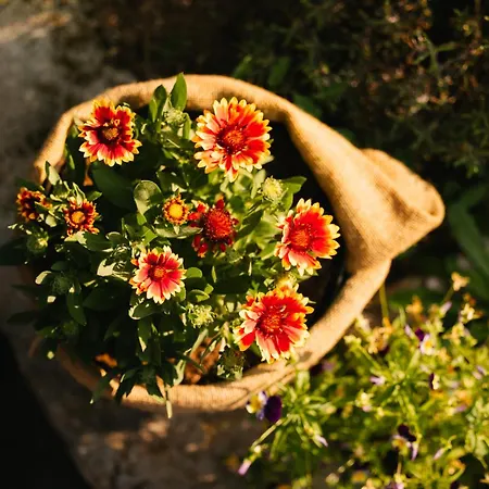 Guest house Eko Homestead Luka - Escape Room, Archery, Bbq, Rafting And -