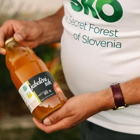 Pensionat Eko Homestead Luka - Escape Room, Archery, Bbq, Rafting And - Vrh pri Fari