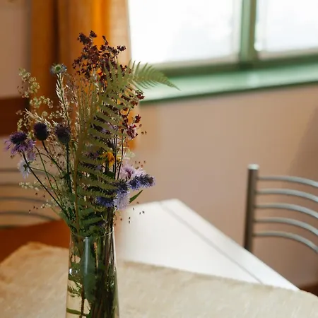 Eko Homestead Luka - Escape Room, Archery, Bbq, Rafting And -