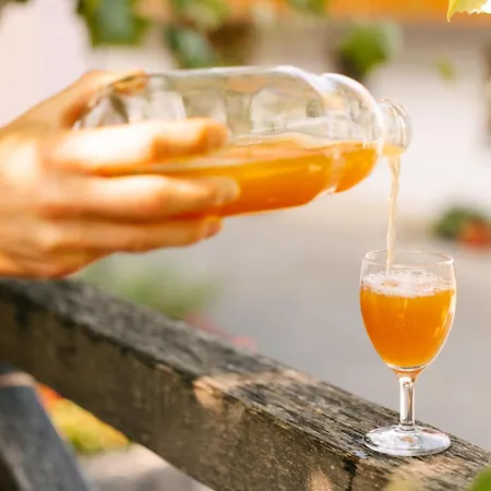 Guest house Eko Homestead Luka - Escape Room, Archery, Bbq, Rafting And -