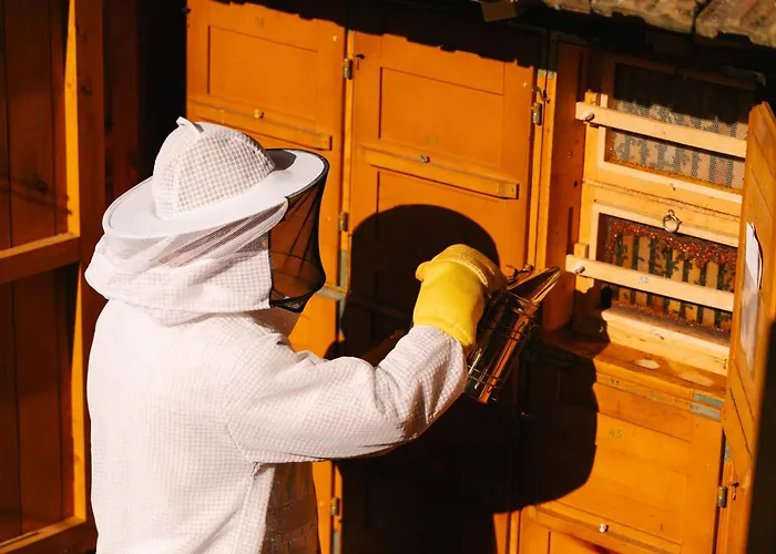 Eko Homestead Luka - Escape Room, Archery, Bbq, Rafting And -