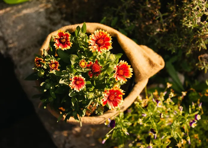 بيت ضيافة Eko Homestead Luka - Escape Room, Archery, Bbq, Rafting And -