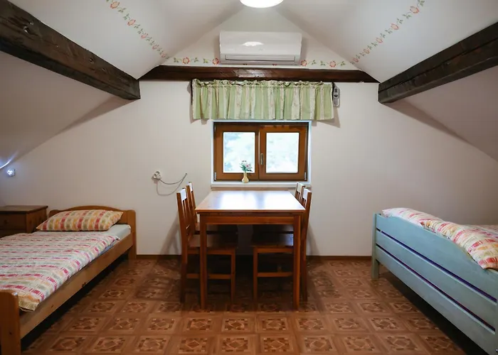 Guest house Eko Homestead Luka - Escape Room, Archery, Bbq, Rafting And - Vrh pri Fari