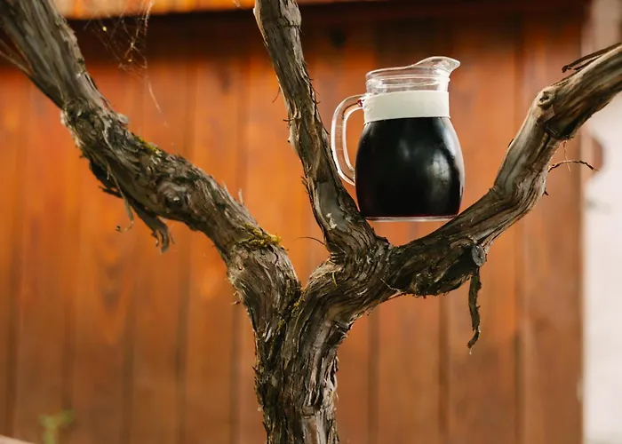 Eko Homestead Luka - Escape Room, Archery, Bbq, Rafting And - Vrh pri Fari