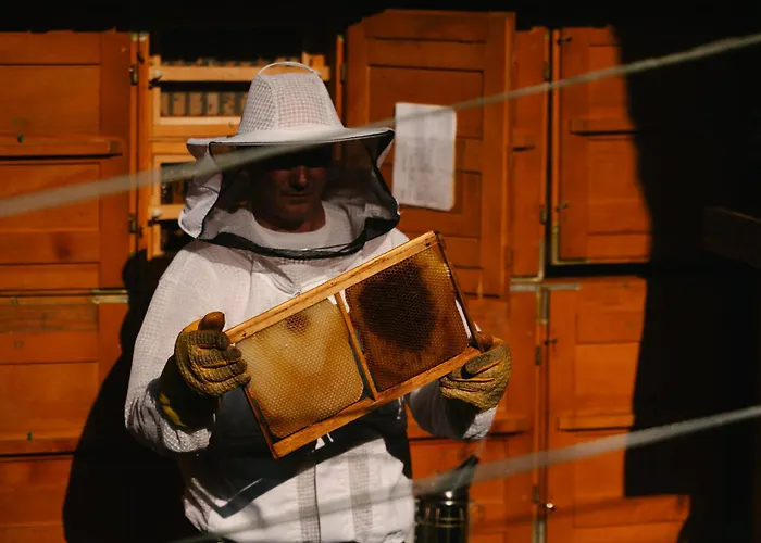 Eko Homestead Luka - Escape Room, Archery, Bbq, Rafting And - بيت ضيافة Vrh pri Fari