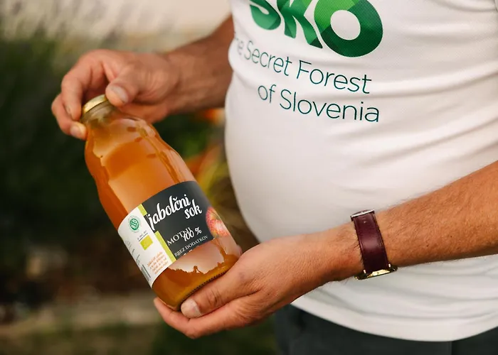 Guest house Eko Homestead Luka - Escape Room, Archery, Bbq, Rafting And - Vrh pri Fari