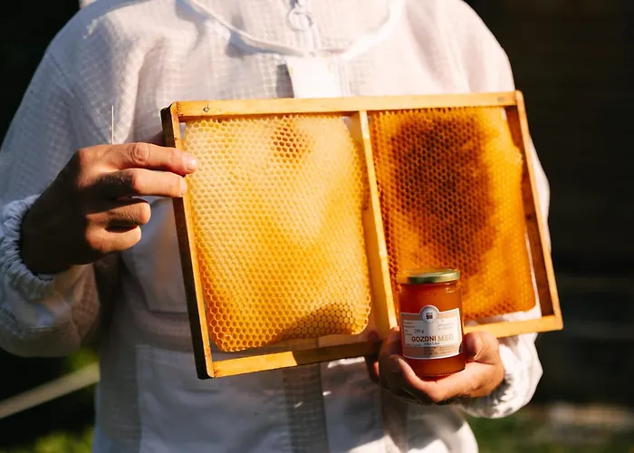 Eko Homestead Luka - Escape Room, Archery, Bbq, Rafting And - 3* Vrh pri Fari