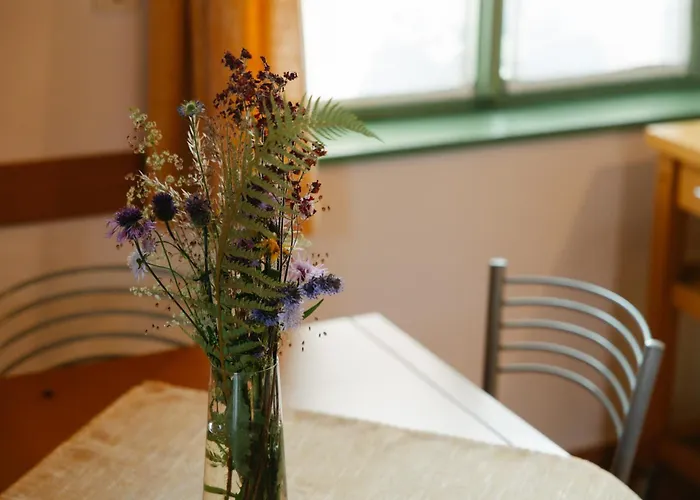 Eko Homestead Luka - Escape Room, Archery, Bbq, Rafting And -