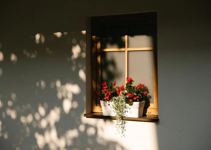 Eko Homestead Luka - Escape Room, Archery, Bbq, Rafting And - Guest house 3*