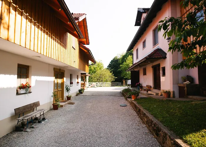 Guest house Eko Homestead Luka - Escape Room, Archery, Bbq, Rafting And - 3*