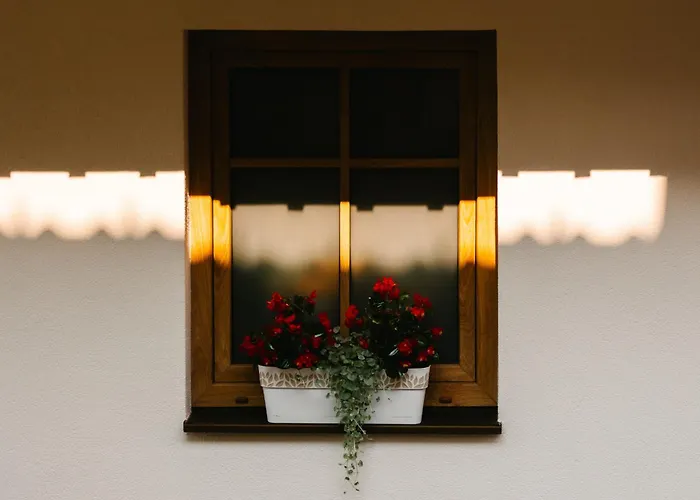 Eko Homestead Luka - Escape Room, Archery, Bbq, Rafting And -